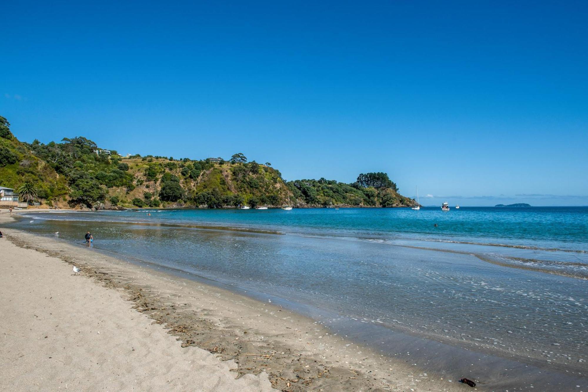 Island Sanctuary - Waiheke Holiday Home Ostend Bagian luar foto